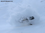 Aaron gets bit by a snow snake