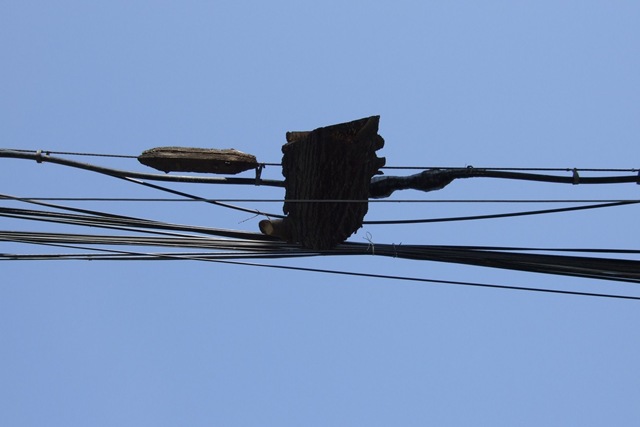 [DSCF4079_m[4].jpg]