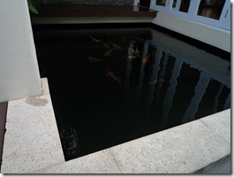 Simple Surface Skimmer for Koi pond lcated at corner