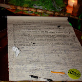 IMG_5556.jpg
