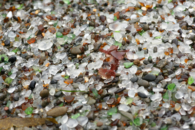 Sea Glass on a beach Protected sea glass glistening in the sun