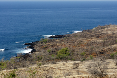 North Kohala Coast, Hawaii North of the dive site