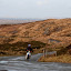 Scooterist on Skyroad