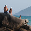 Playing on the Rocks