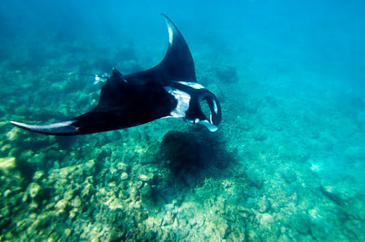 Galapagos Photo Gallery
