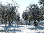 P1000914.JPG