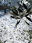 P1000931.JPG