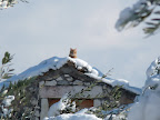 P1000937.JPG