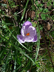 P1000804.JPG