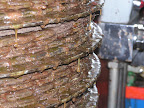P1200003.JPG