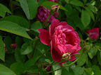 P1090069.JPG