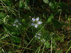 P1090186.JPG