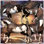 mh%20textures%202010%20004 Millennium Horse textures