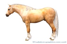 jan 08 milhorse welsh cob 001 Millennium Horse textures