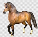 new%20millennium%20horse%20texture%20001 Millennium Horse textures