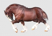 00000000010 Millennium Horse textures