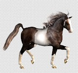MAT%20Skewbald Millennium Horse textures