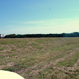 A well-vegetated site showing gas vents installed in the waste unit (left).