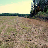 A well-vegetated site showing monitoring wells and landfill gas extraction system.