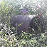 Possible environmental concerns noted during a Phase I EA
