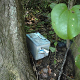 Possible environmental concerns noted during a Phase I EA Possible environmental concerns noted during a Phase I EA