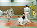  judo