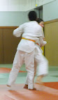  judo