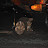DSC_0740_02.jpg DSC_0740_02.jpg