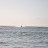 DSC_0271_02.jpg DSC_0271_02.jpg
