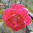 DSC_0319.JPG