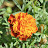 DSC_0529.JPG