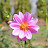 DSC_0544.JPG