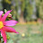 DSC_0536.JPG