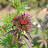 DSC_0582.JPG