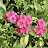 DSC_0526.jpg DSC_0526.jpg