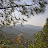 DSC_0769.JPG
