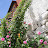 DSC00073.JPG