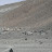 DSC00202.JPG