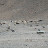 DSC00204.JPG