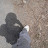 DSC00034.JPG