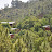 DSC_0915.JPG