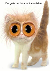 Caffeine-Kitty