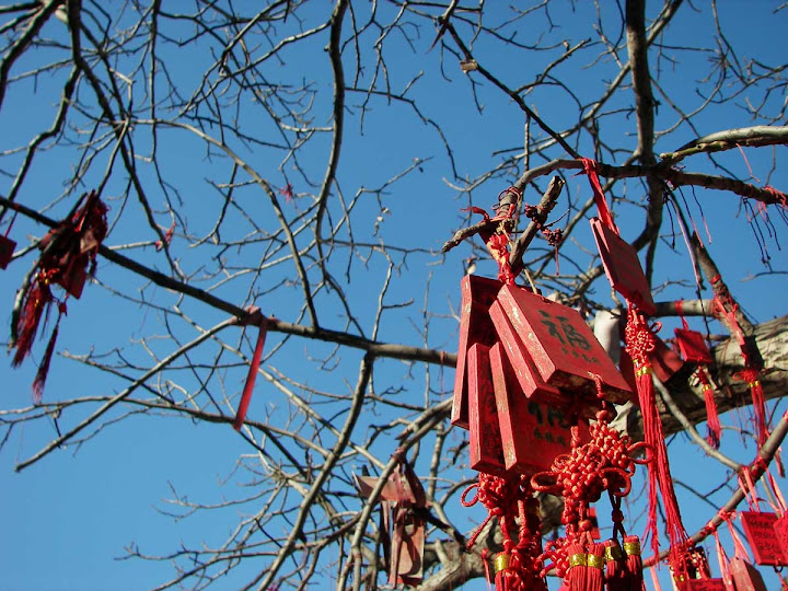 On the foot of Great Wall near Beijing