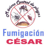 Fumigación César