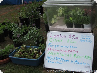 Items for sale at the Kenai Market Days