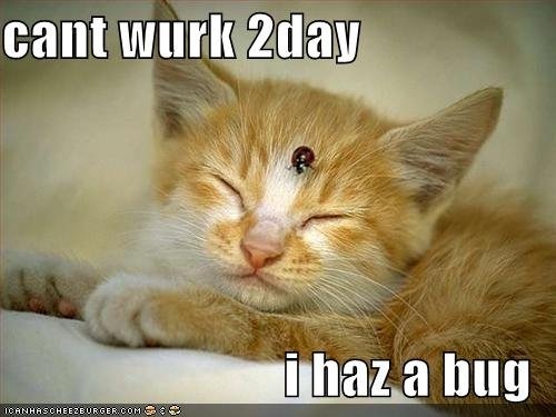 [sick[4].jpg]