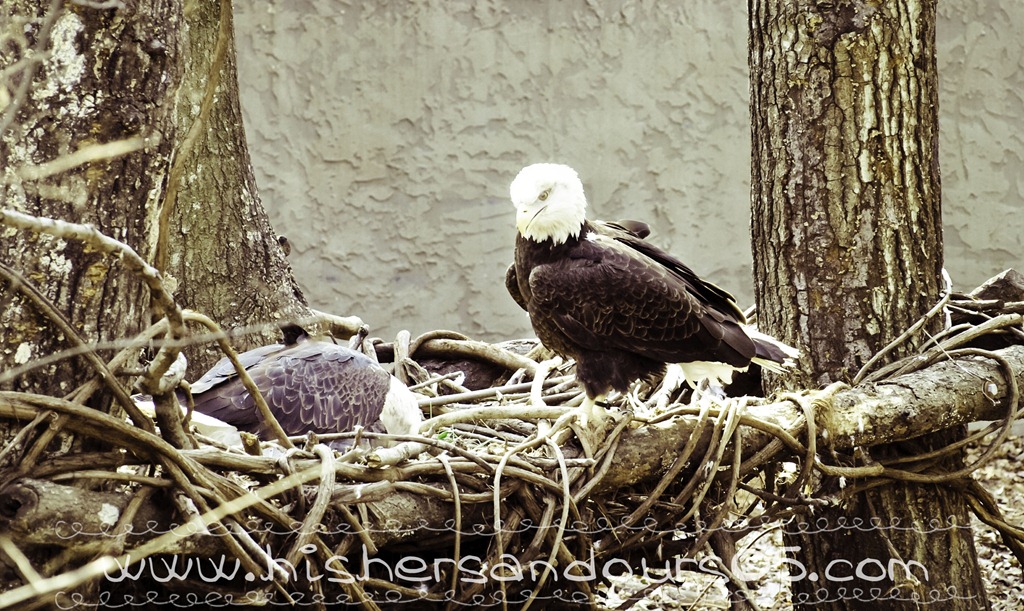 [20110116-P1164381[11].jpg]