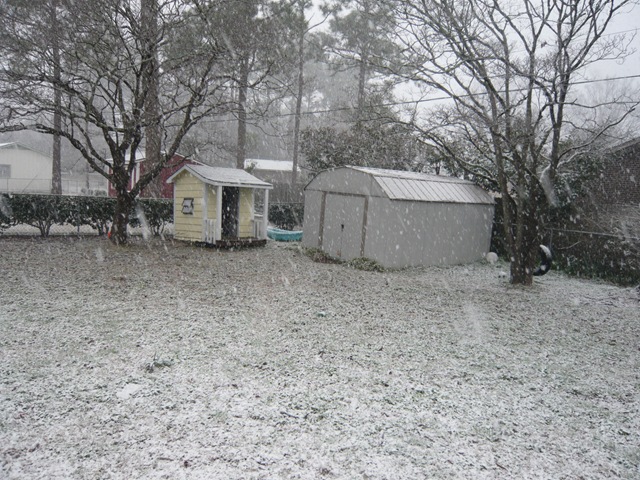 [Snow[3].jpg]