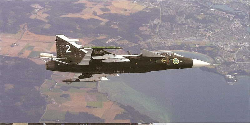 gripen5.JPG