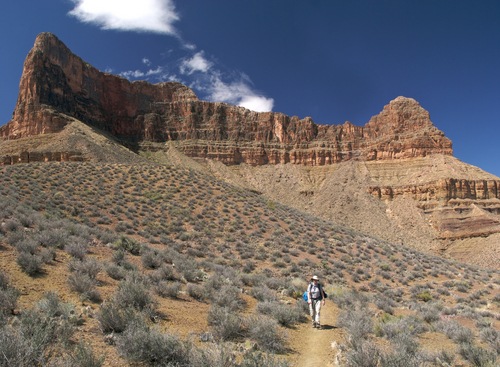 [grand-canyon-tonto-trail-arizona-az0073[4].jpg]